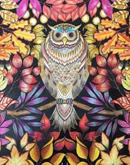Colorful Owl Diamond Painting
