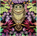 Colorful Owl Diamond Painting