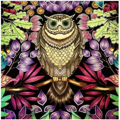 Colorful Owl Diamond Painting